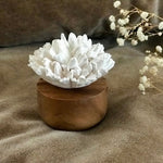 Japanischer Nelken-Diffusor – Eleganter Blumen-Reed-Diffusor mit Holzsockel | Raumduft & Dekoration